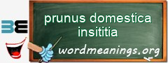 WordMeaning blackboard for prunus domestica insititia